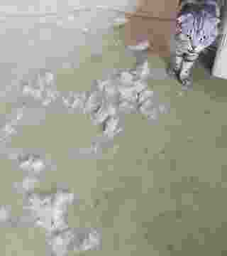Sue after brushing