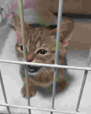 Mah wants to get out