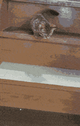 Mah going down the stairs