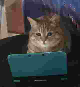 Mah searching the internet