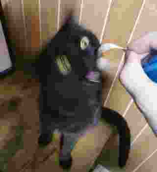 Bon and a measuring tape