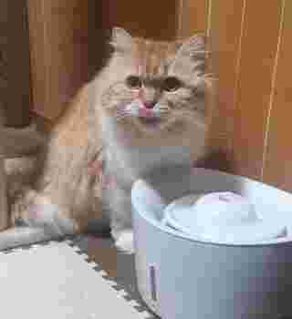Mee drinking a water