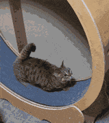 ホイールとまぁ~