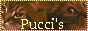 Pucci's World