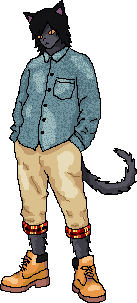 †漆黒の猫†のイメージ図